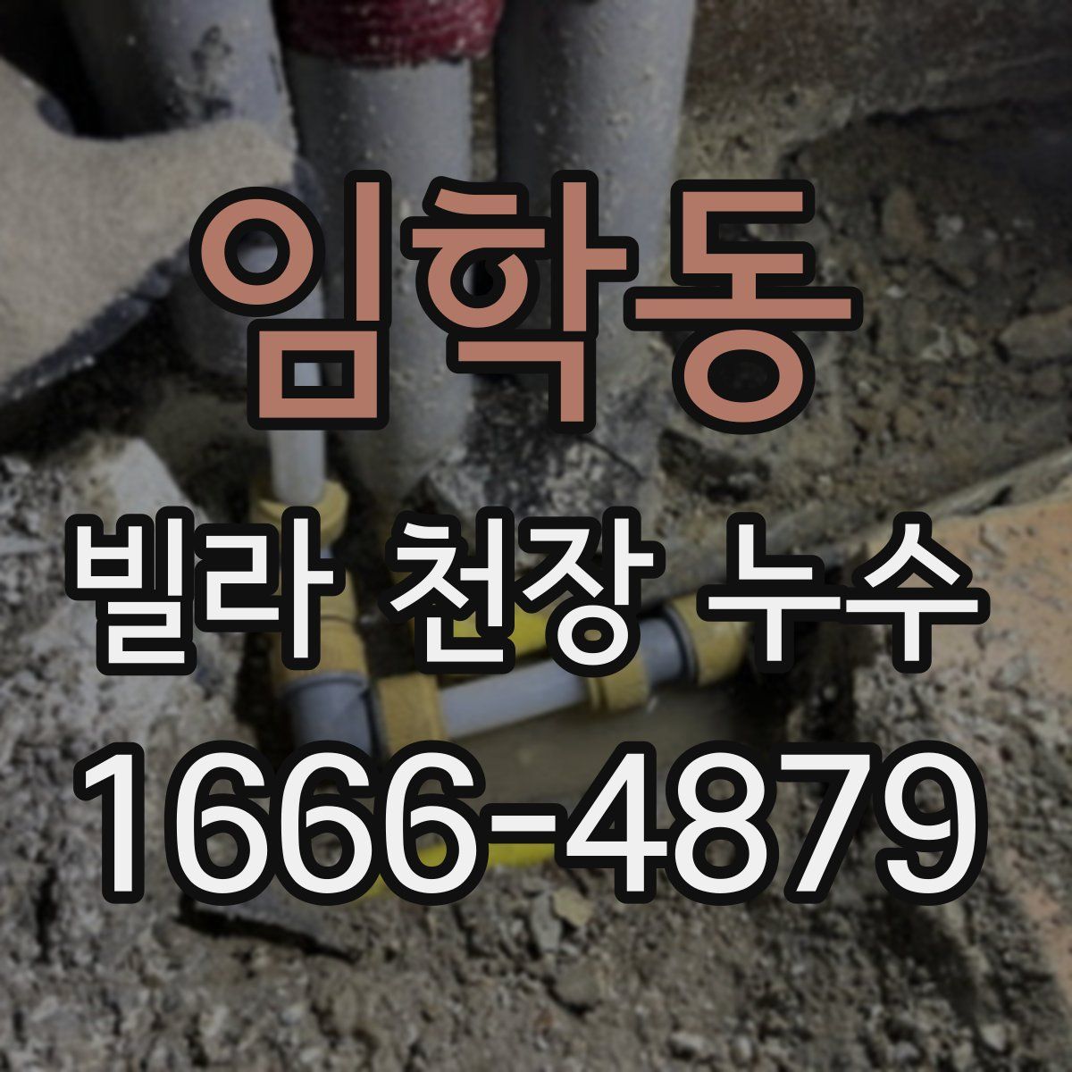 임학동 빌라 천장 누수