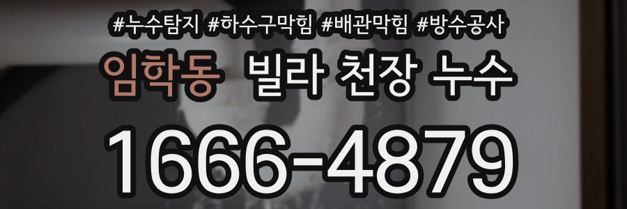 임학동 빌라 천장 누수