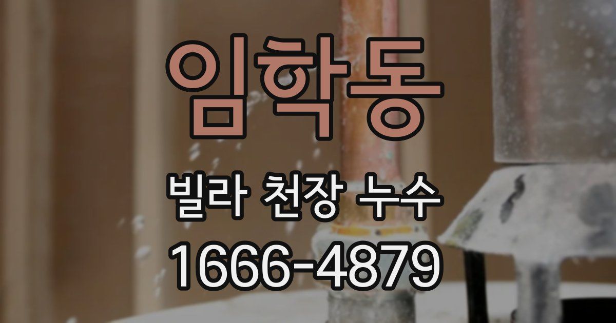 임학동 빌라 천장 누수