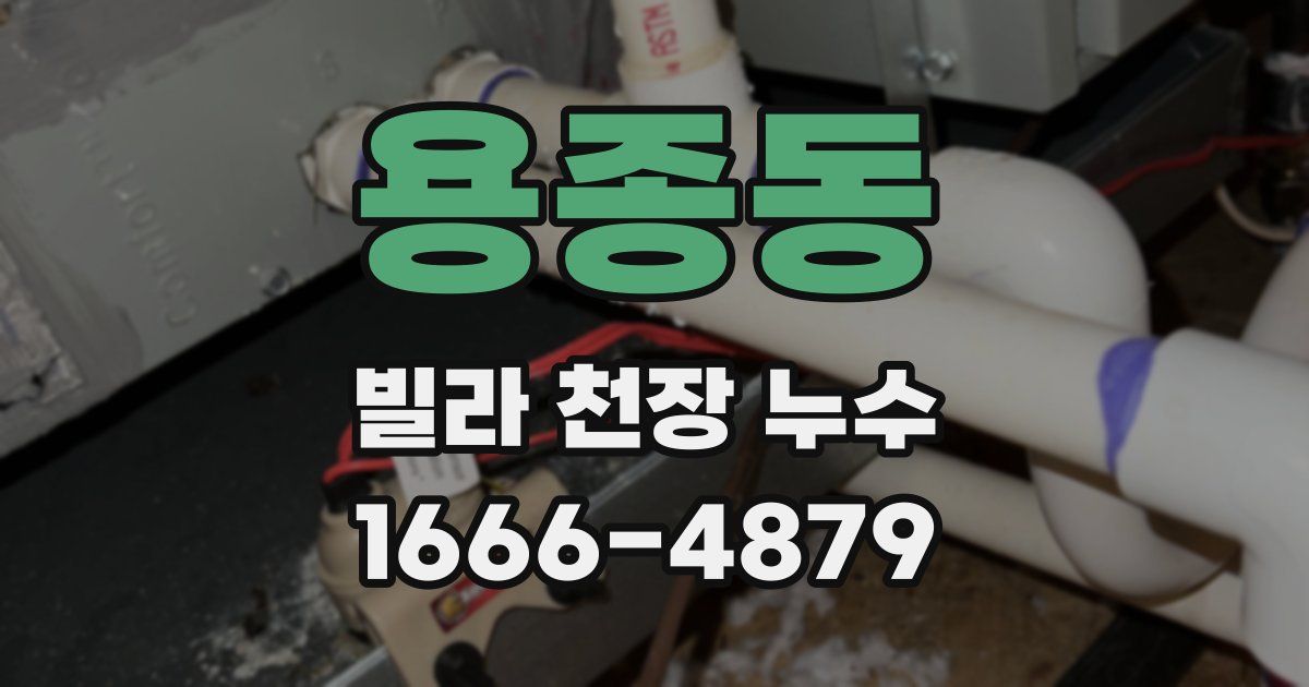 용종동 빌라 천장 누수