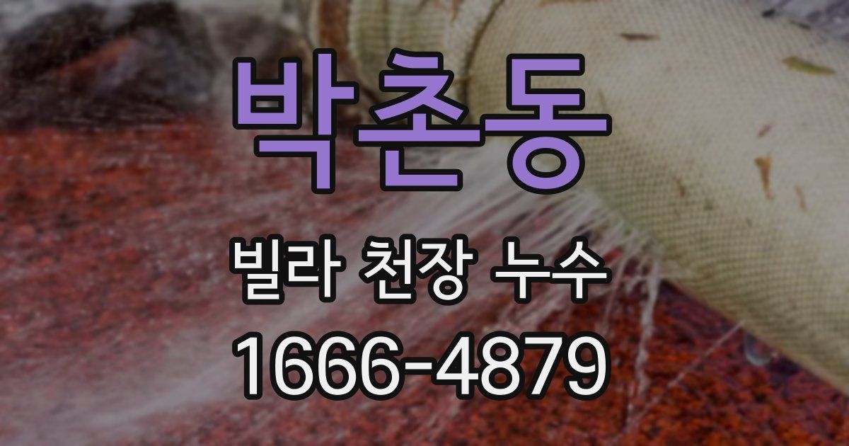 박촌동 빌라 천장 누수