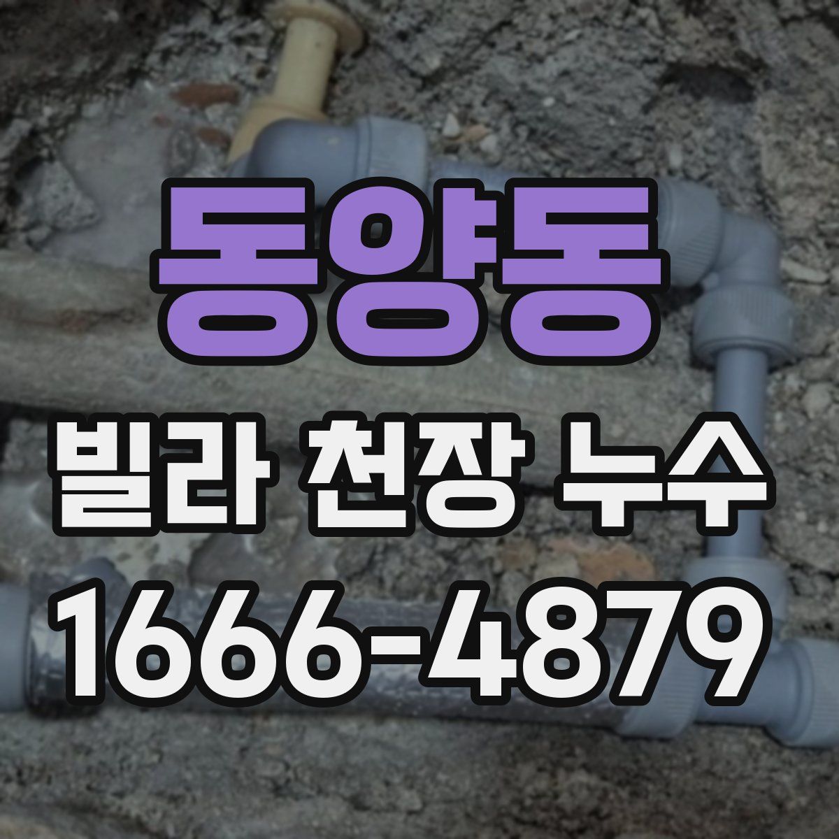 동양동 빌라 천장 누수