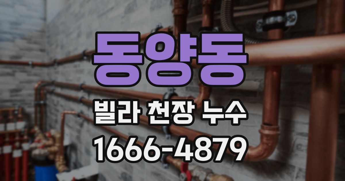 동양동 빌라 천장 누수
