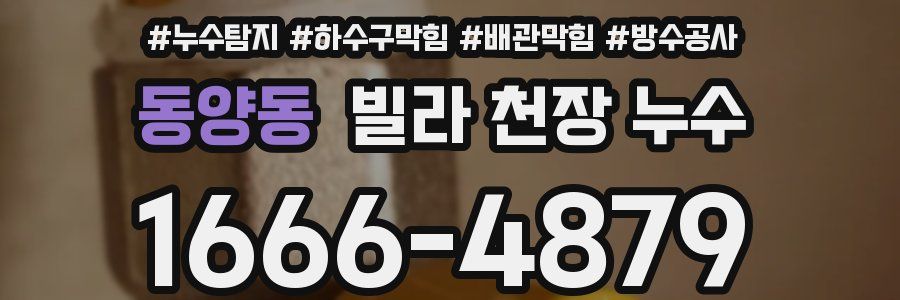 동양동 빌라 천장 누수