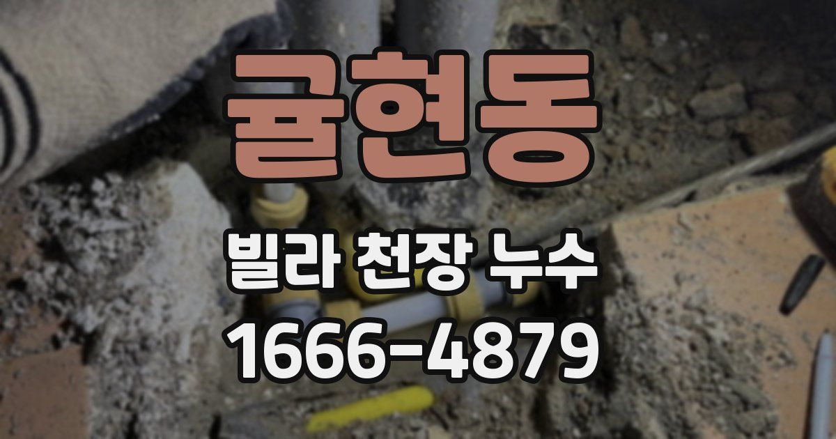 귤현동 빌라 천장 누수