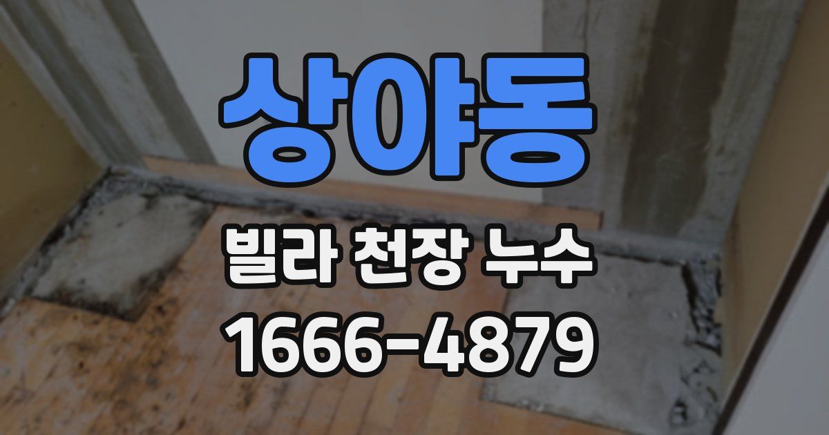 상야동 빌라 천장 누수