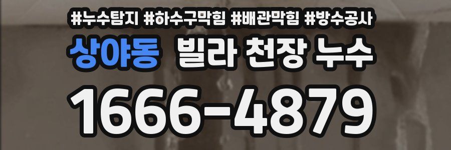 상야동 빌라 천장 누수