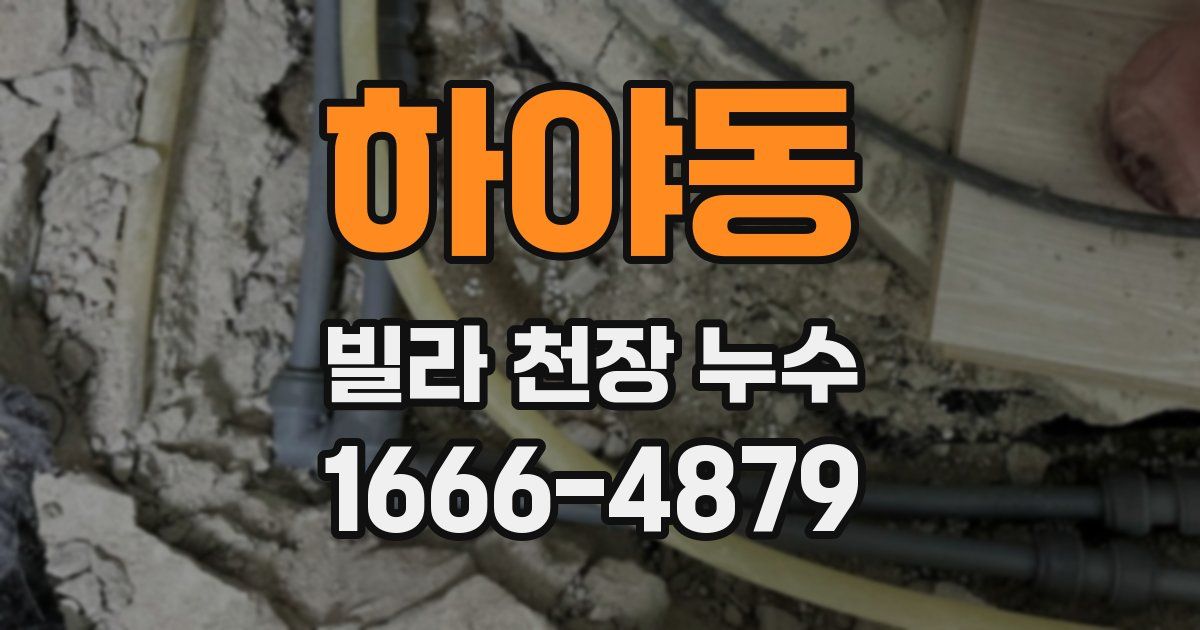 하야동 빌라 천장 누수