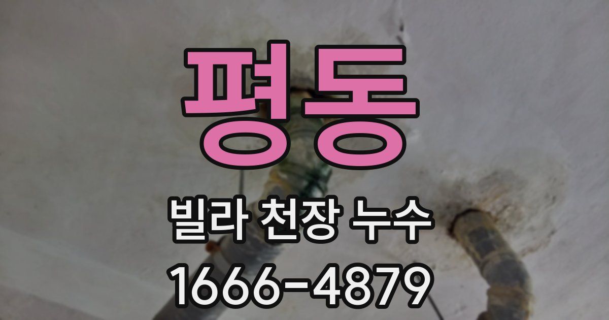 평동 빌라 천장 누수