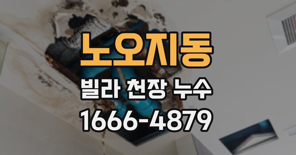 노오지동 빌라 천장 누수