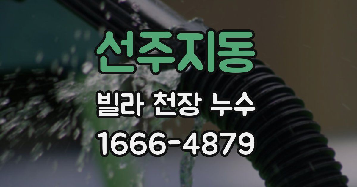 선주지동 빌라 천장 누수
