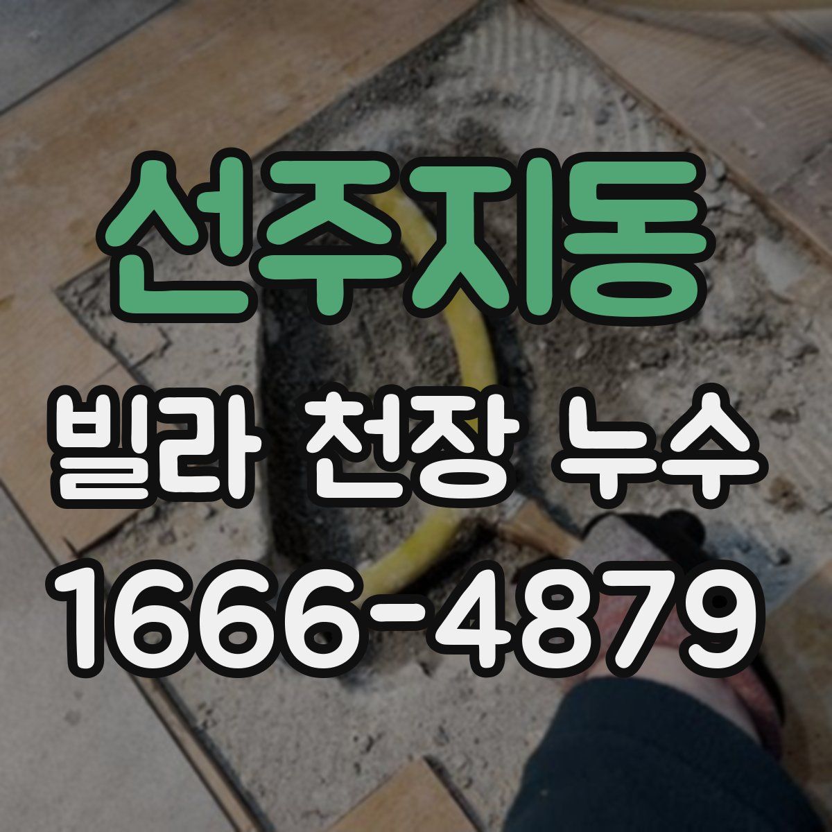 선주지동 빌라 천장 누수