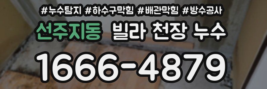 선주지동 빌라 천장 누수