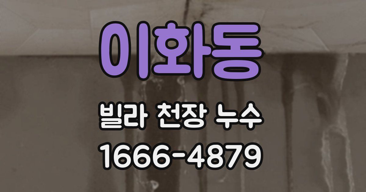 이화동 빌라 천장 누수