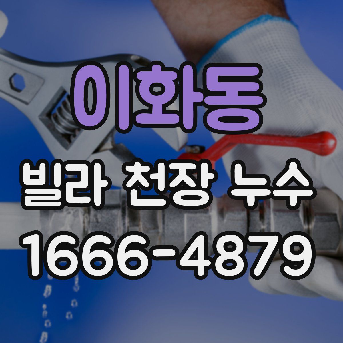 이화동 빌라 천장 누수