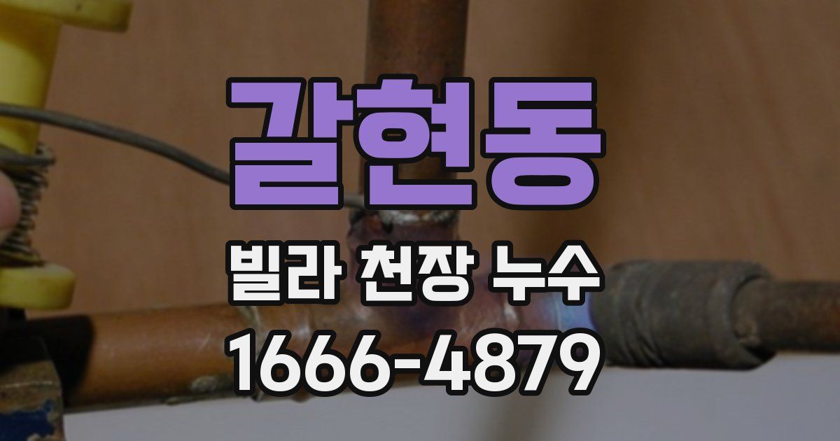 갈현동 빌라 천장 누수