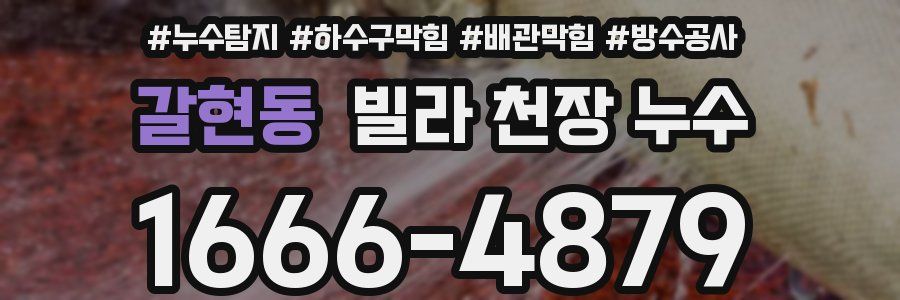 갈현동 빌라 천장 누수