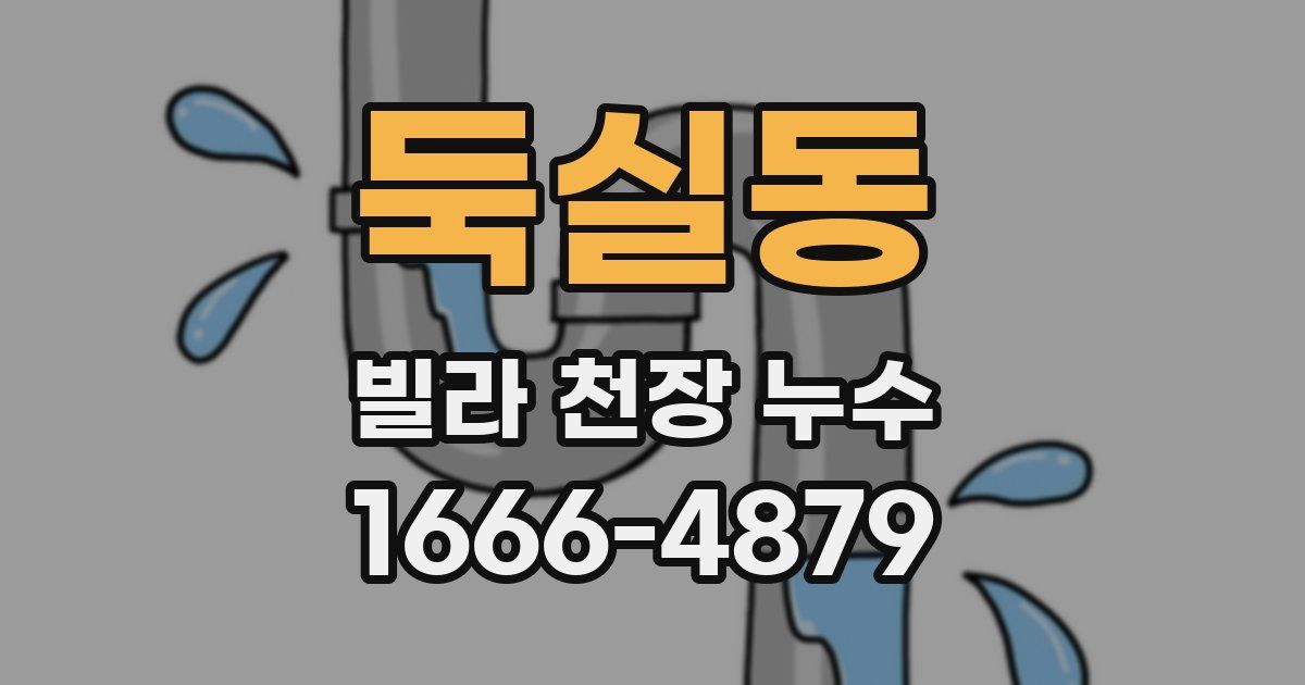둑실동 빌라 천장 누수