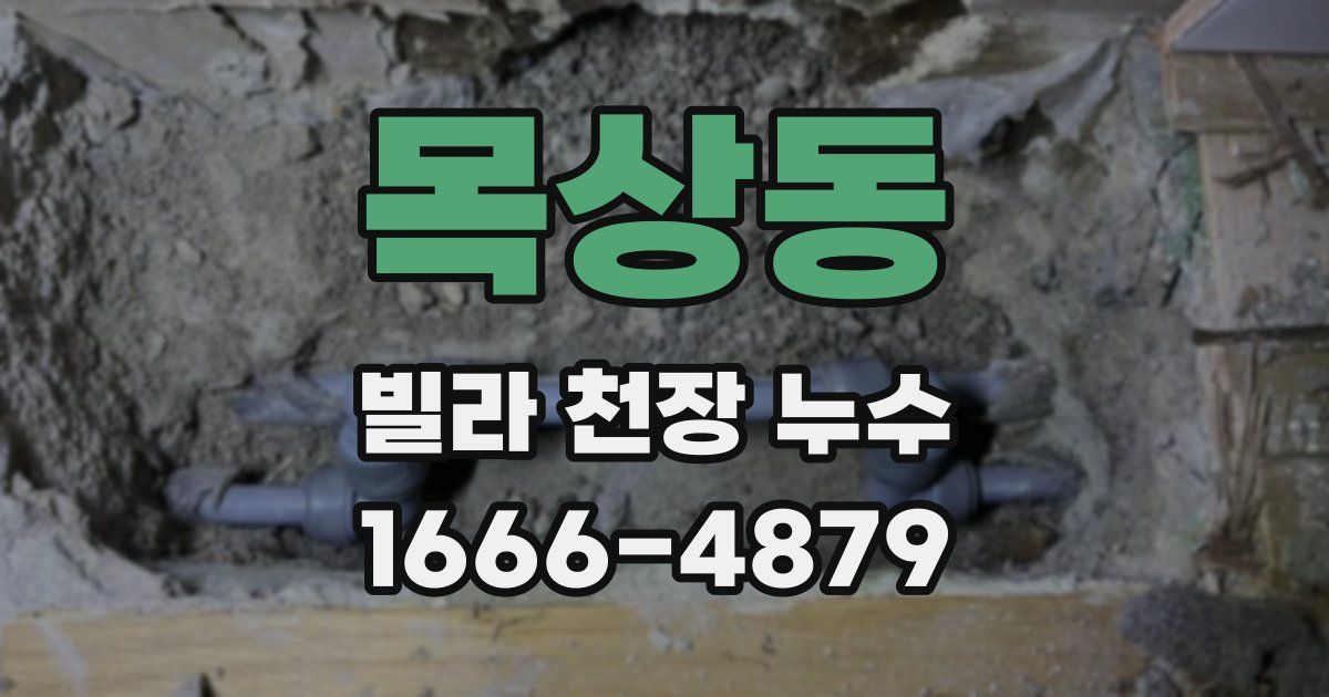 목상동 빌라 천장 누수
