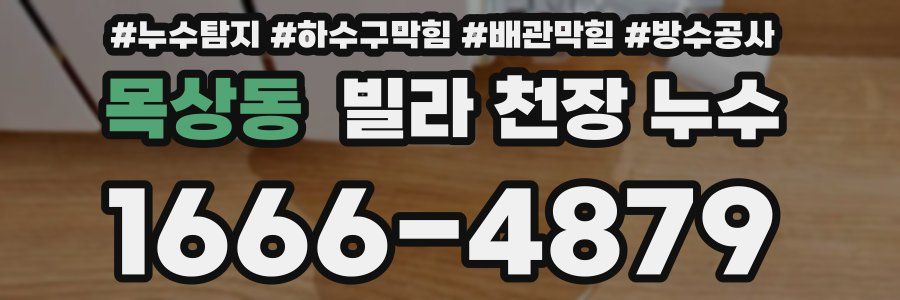 목상동 빌라 천장 누수
