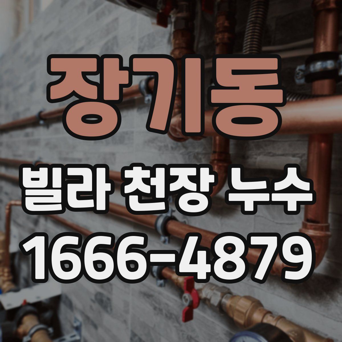 장기동 빌라 천장 누수