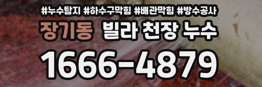 장기동 빌라 천장 누수