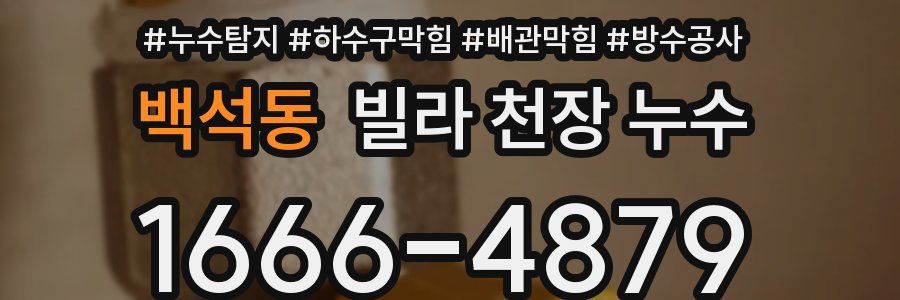 백석동 빌라 천장 누수