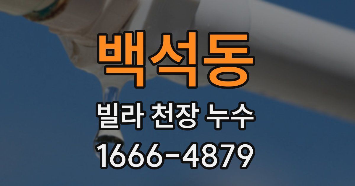 백석동 빌라 천장 누수