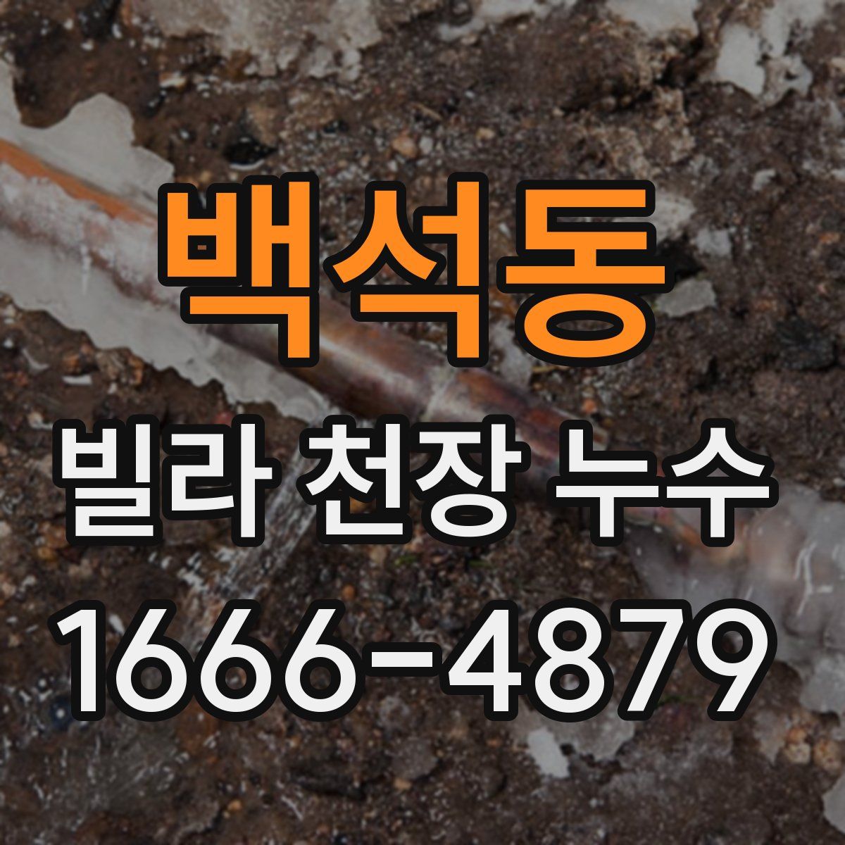 백석동 빌라 천장 누수