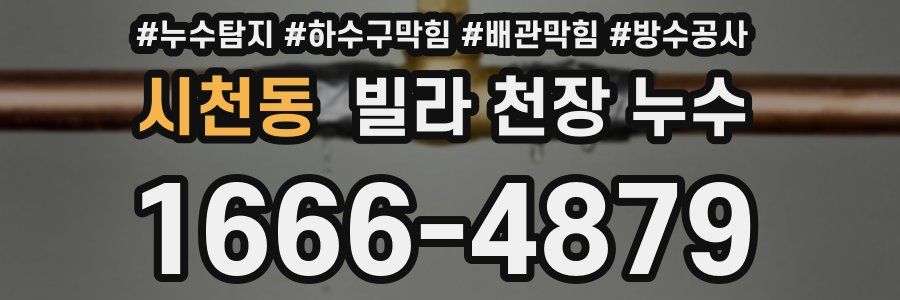 시천동 빌라 천장 누수