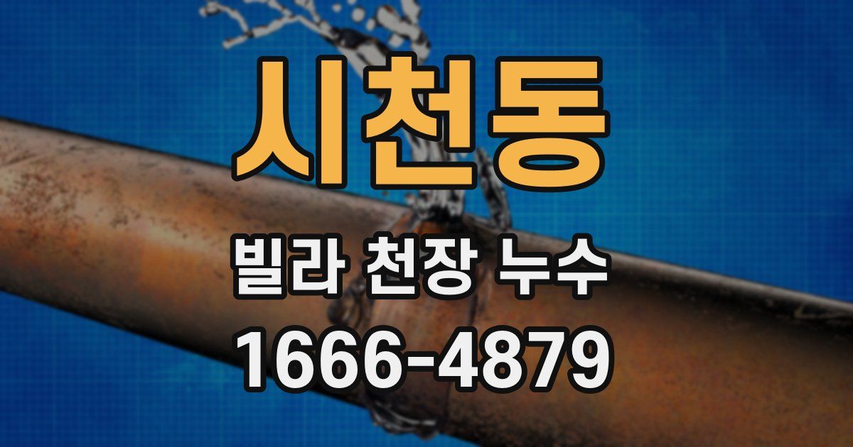 시천동 빌라 천장 누수