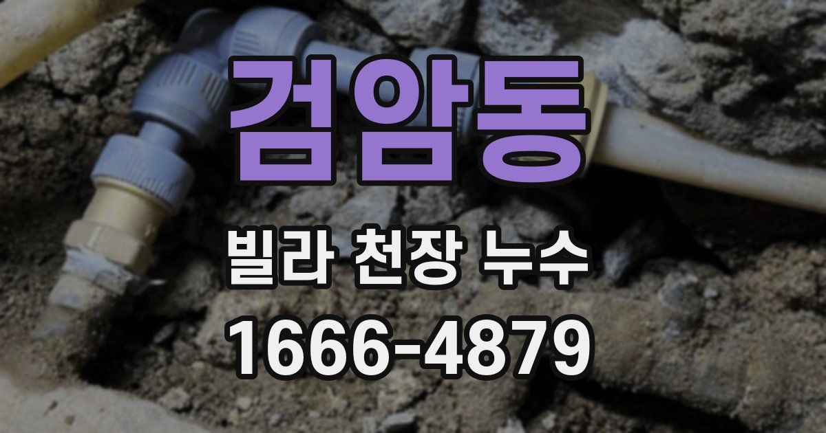 검암동 빌라 천장 누수