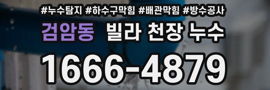 검암동 빌라 천장 누수