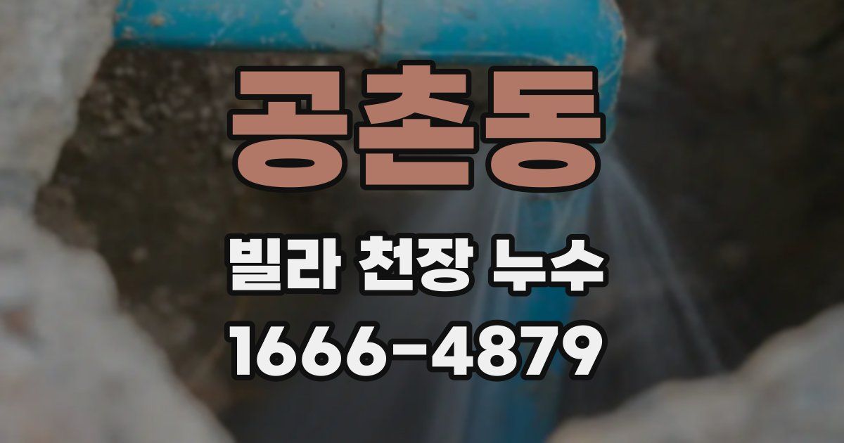 공촌동 빌라 천장 누수