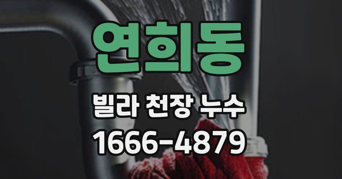 연희동 빌라 천장 누수