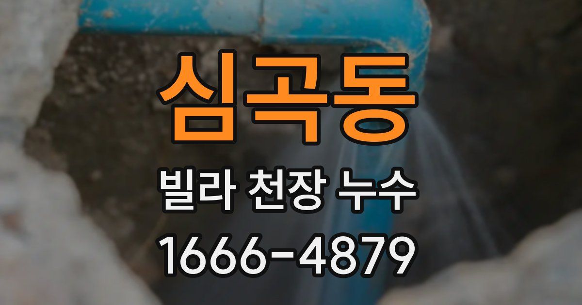 심곡동 빌라 천장 누수