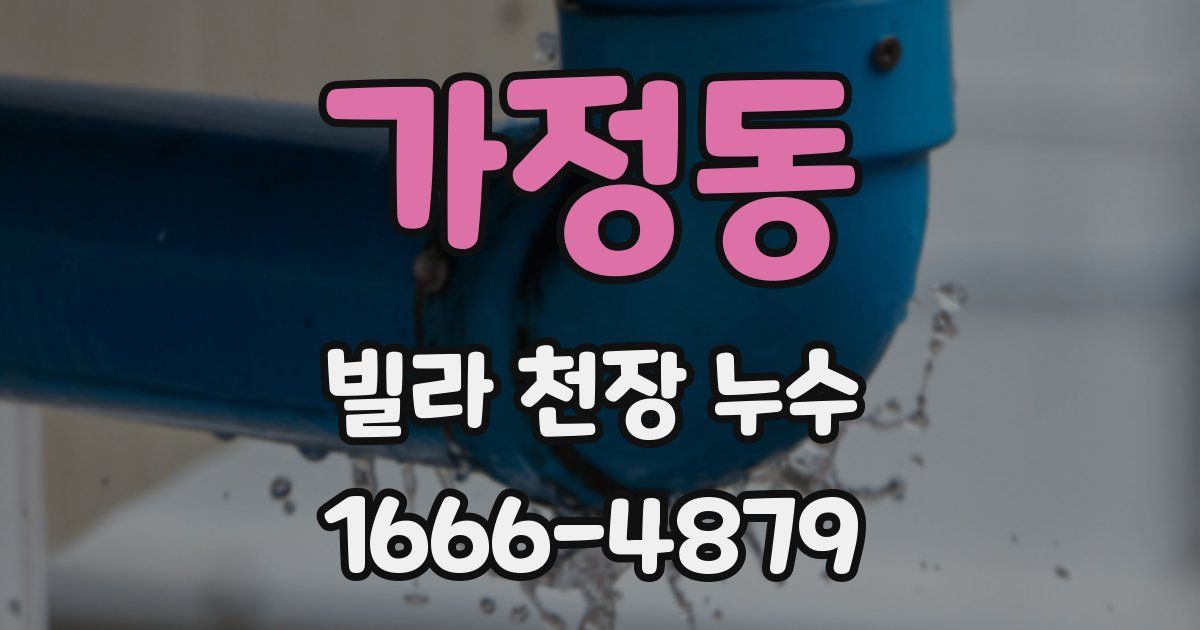 가정동 빌라 천장 누수