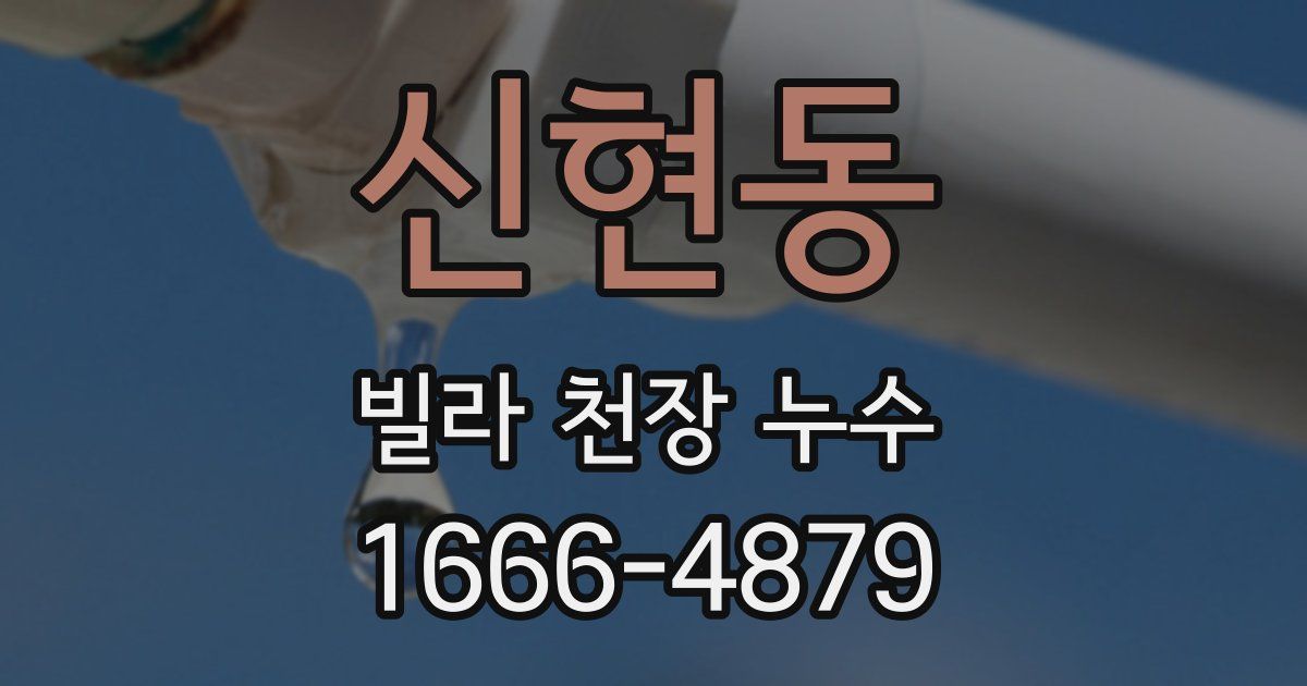 신현동 빌라 천장 누수