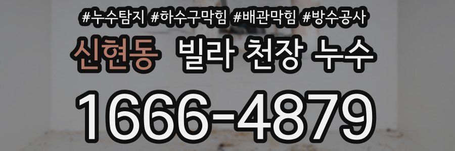신현동 빌라 천장 누수