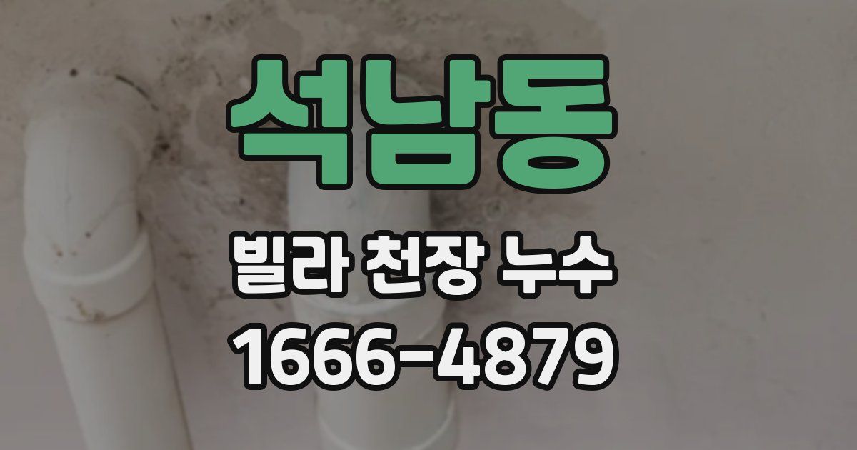 석남동 빌라 천장 누수