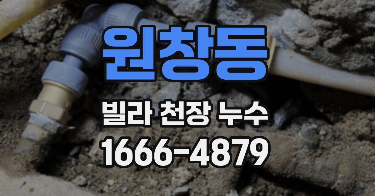 원창동 빌라 천장 누수