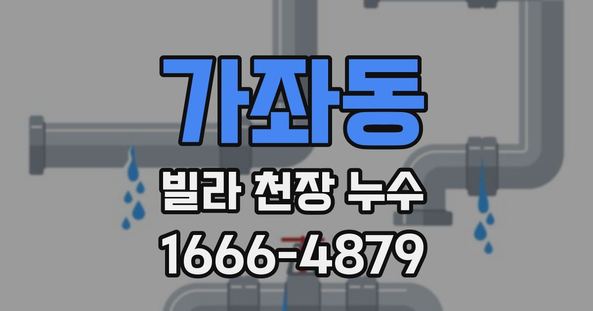 가좌동 빌라 천장 누수
