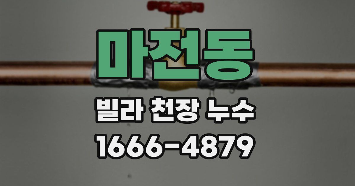 마전동 빌라 천장 누수