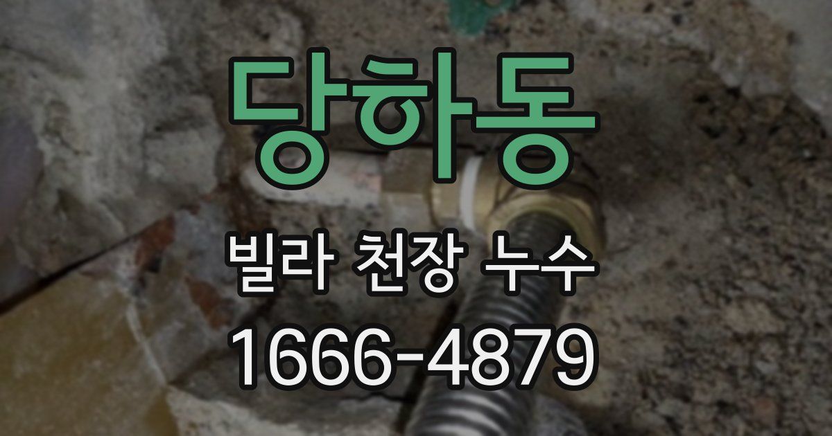 당하동 빌라 천장 누수