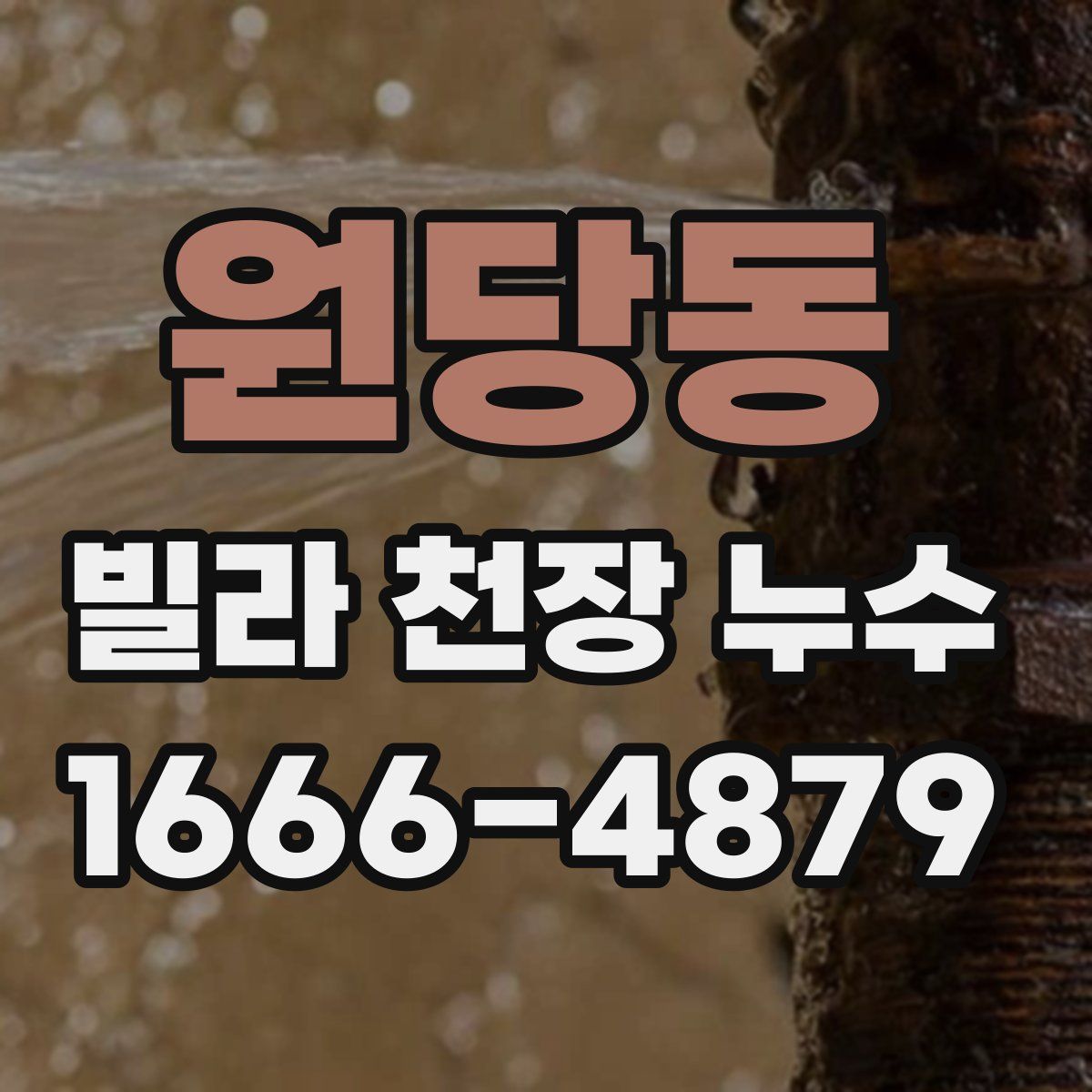 원당동 빌라 천장 누수