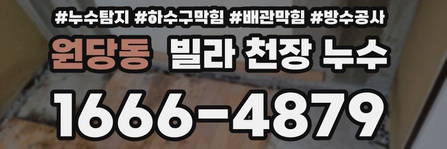 원당동 빌라 천장 누수