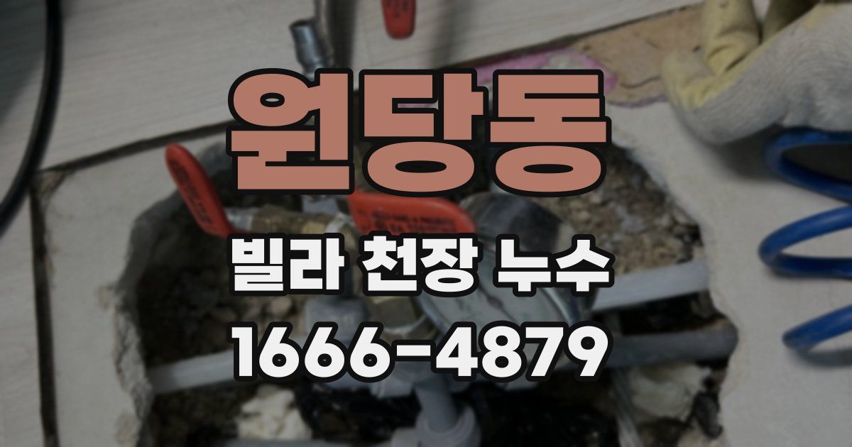 원당동 빌라 천장 누수