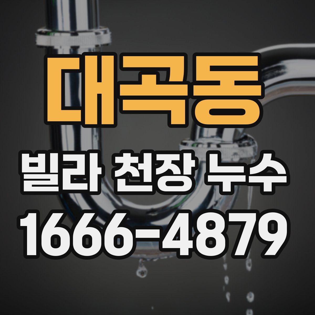 대곡동 빌라 천장 누수