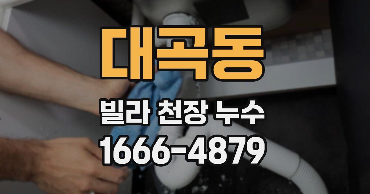 대곡동 빌라 천장 누수