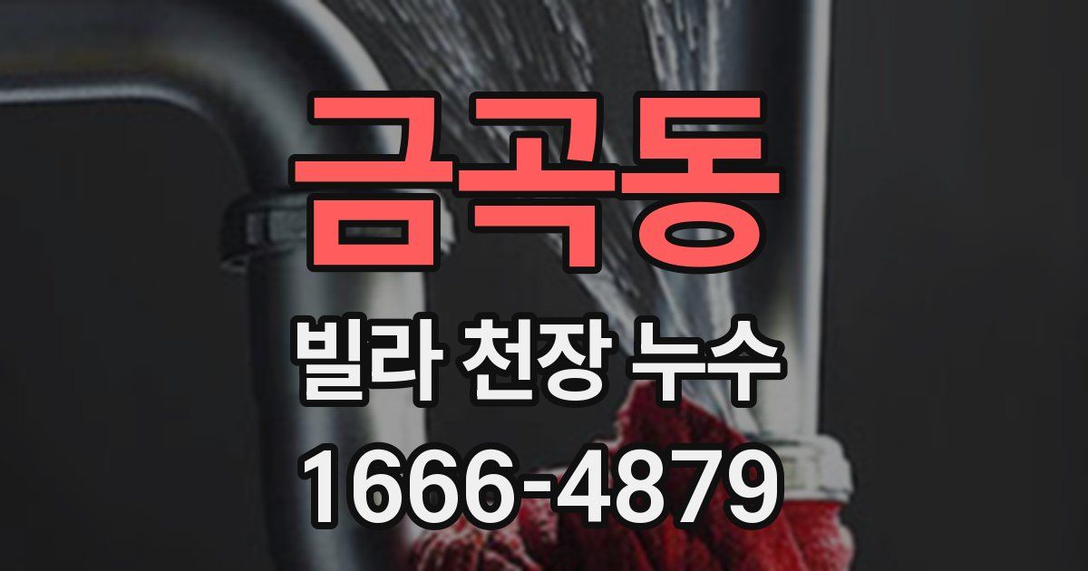 금곡동 빌라 천장 누수